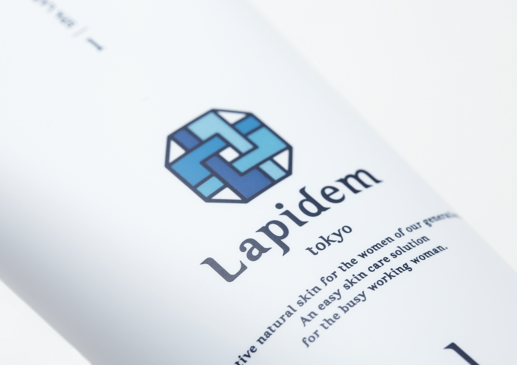 Lapidem_package